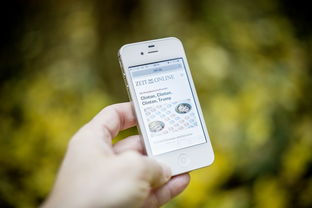 milanAPP下载入口官网-智能化体育测评系统开发与适用性分析，体育考试智能化测试仪器